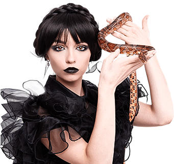 Аниматор тейкабум